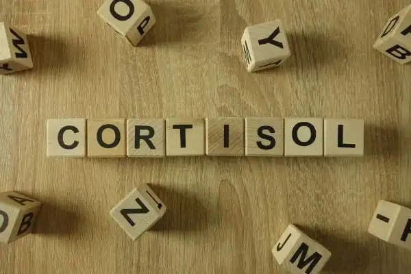 The Hidden Connection: How Stress Shapes Your Fitness and Body Composition 2 Image saying "Cortisol" and how stress Billericay impacts your wellbeing and bodies shape
